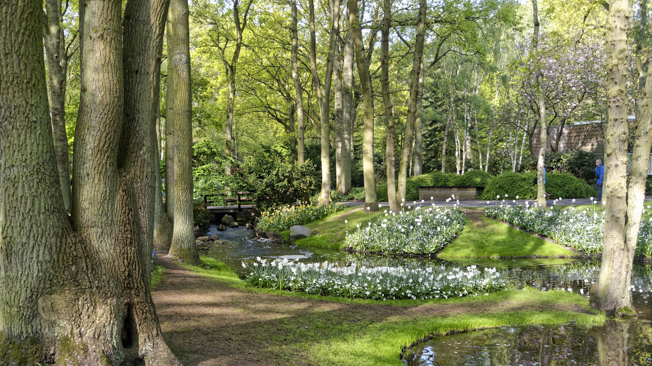20140423 100054 Keukenhof Gardens, Lisse, South Holland, Netherlands